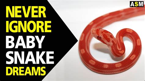 snake meaning in lottery|Snake Dream Meaning .